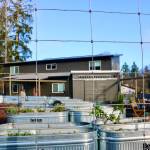 Aspen Anderson Photo
This community garden, located centrally in Island Center Homes, is one of several shared spaces at the housing development.