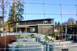 Aspen Anderson Photo
This community garden, located centrally in Island Center Homes, is one of several shared spaces at the housing development.