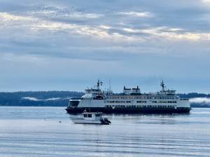 Aspen Anderson Photo