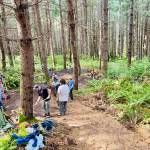 Volunteers with the Vashon Mountain Bike Association work during a monthly trail work party at Dockton Forest. Work parties are held the first Sunday of each month. (Courtesy Photo)