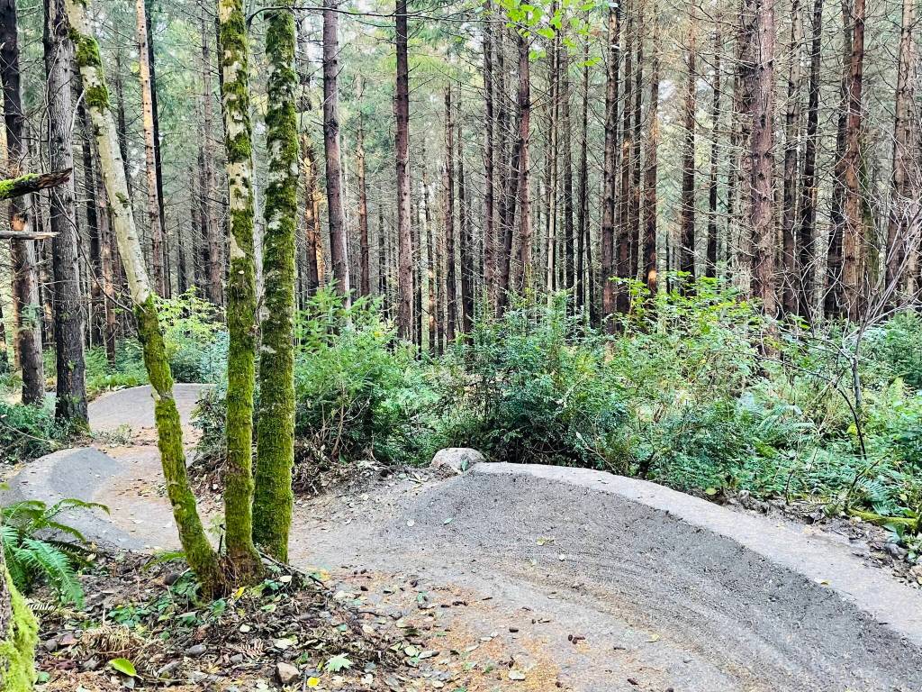 The 0.31-mile BTG (Bridging the Gap) trail winds through Dockton Forest, offering a forked line designed for riders of multiple skill levels. (Courtesy Photo)