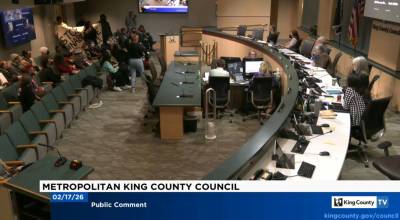 Scene from the Feb. 17 meeting of the King County Council. Screenshot