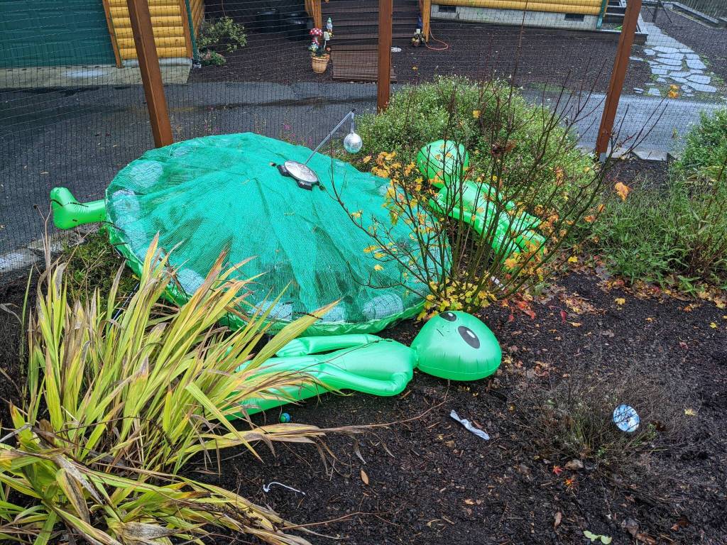 Matt Beursken Photo 
Beursken’s very first UFO, made of chicken wire and empty milk jugs, lays in his garden at his home on Maury Island.