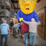 Terry Donnelly Photo