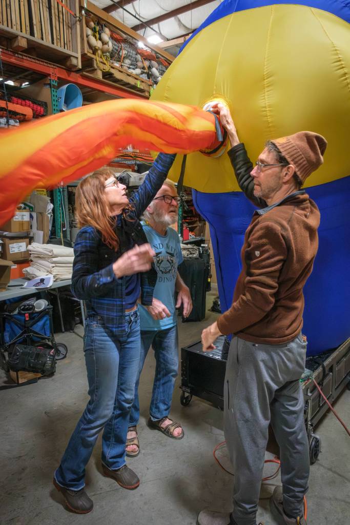 Terry Donnelly Photo