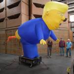 Terry Donnelly Photo