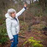 Peg Staeheli gestures toward an area she is reworking as part of a forest restoration project, where she is propagating native shrubs, ground covers and conifers. (Terry Donnelly Photo)