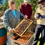 Annie Myers narrates an early spring hive inspection at VIBAs teaching apiary. (Courtesy Photo)