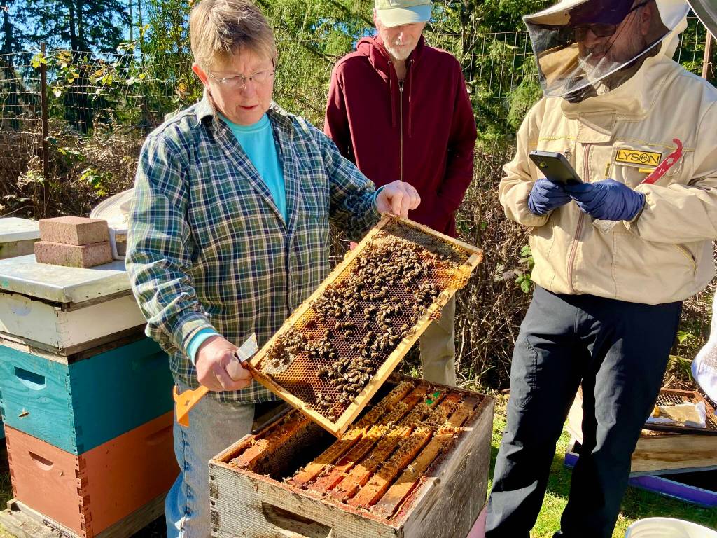 Annie Myers narrates an early spring hive inspection at VIBAs teaching apiary. (Courtesy Photo)