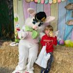 A very large, very friendly rabbit from the 2025 egg hunt. (Courtesy Photo)