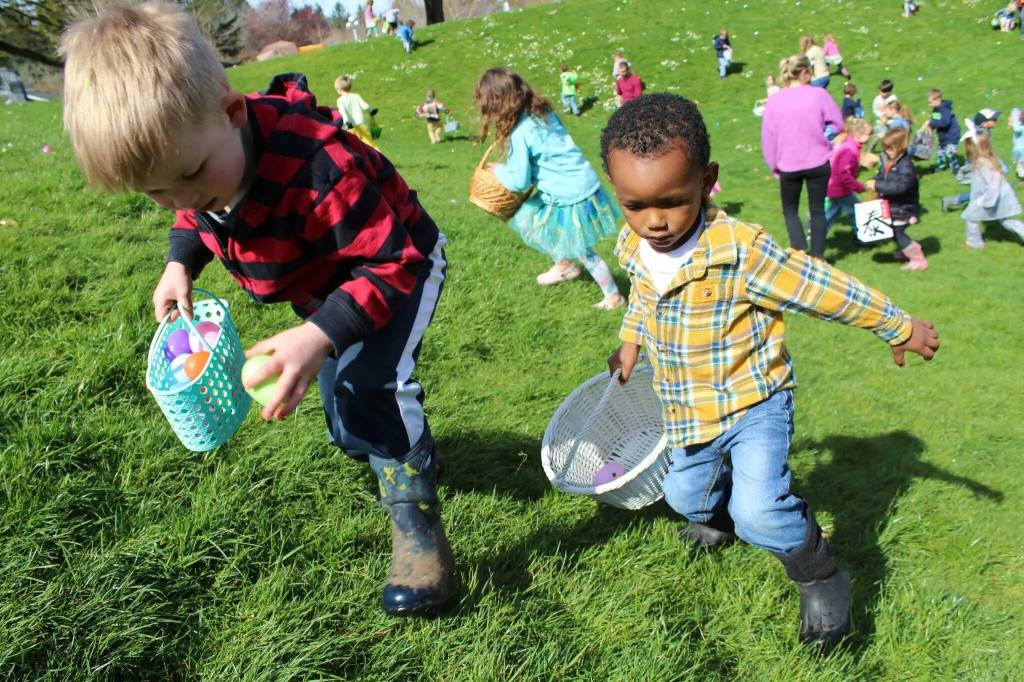 Kids scramble to grab eggs at Ober Park in 2024. (Alex Bruell Photo)