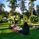 Sun shines on the queens garden  an area of the garden popular for weddings. (Courtesy Photo)