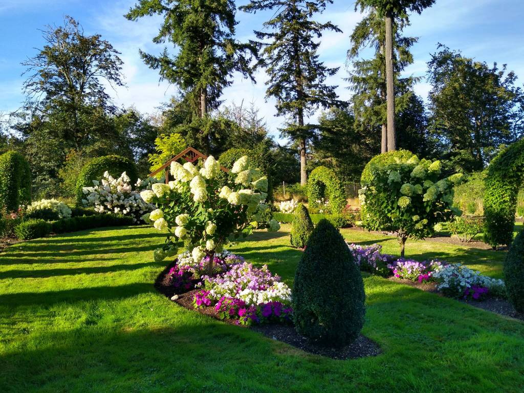 Sun shines on the queens garden  an area of the garden popular for weddings. (Courtesy Photo)