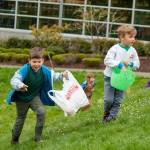 Kids run to grab Easter eggs at Ober Park in 2025. (Alex Bruell Photo)