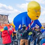 Frank Fitzpatrick Photo