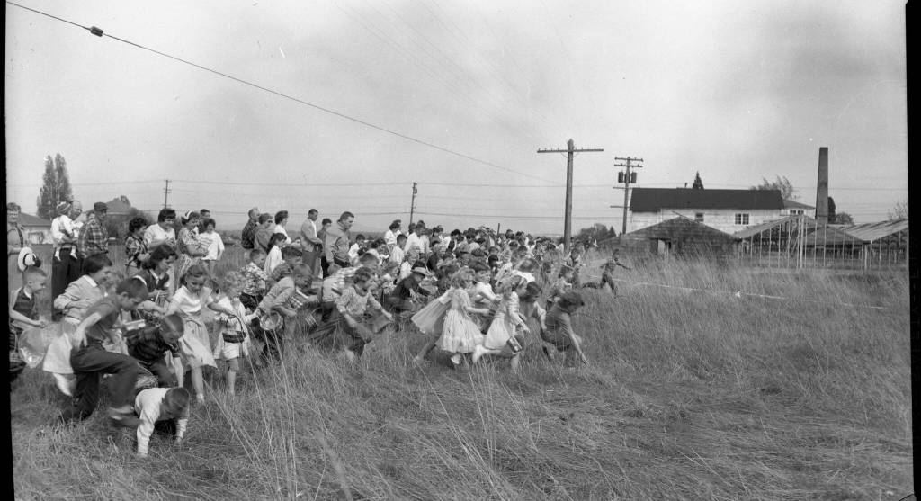 1962 Beachcomber photo (Courtesy of the Vashon Island Heritage Museum)
Eager searchers at Sundays Easter egg hunt, sponsored by the Soroptimist Club, are shown as they spread out in the field behind the Vashon Florists at Center. Juvenile Grangers dyed most of the 45 dozen eggs as a community service project. More than 100 children, divided into pre-school and grades 1 to 5 groups, participated in the best weather the event has had in several years.