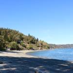 Scarlet Hansen Photo
A shoreline on Maury Island that is undergoing recovery after armoring was removed by the county.