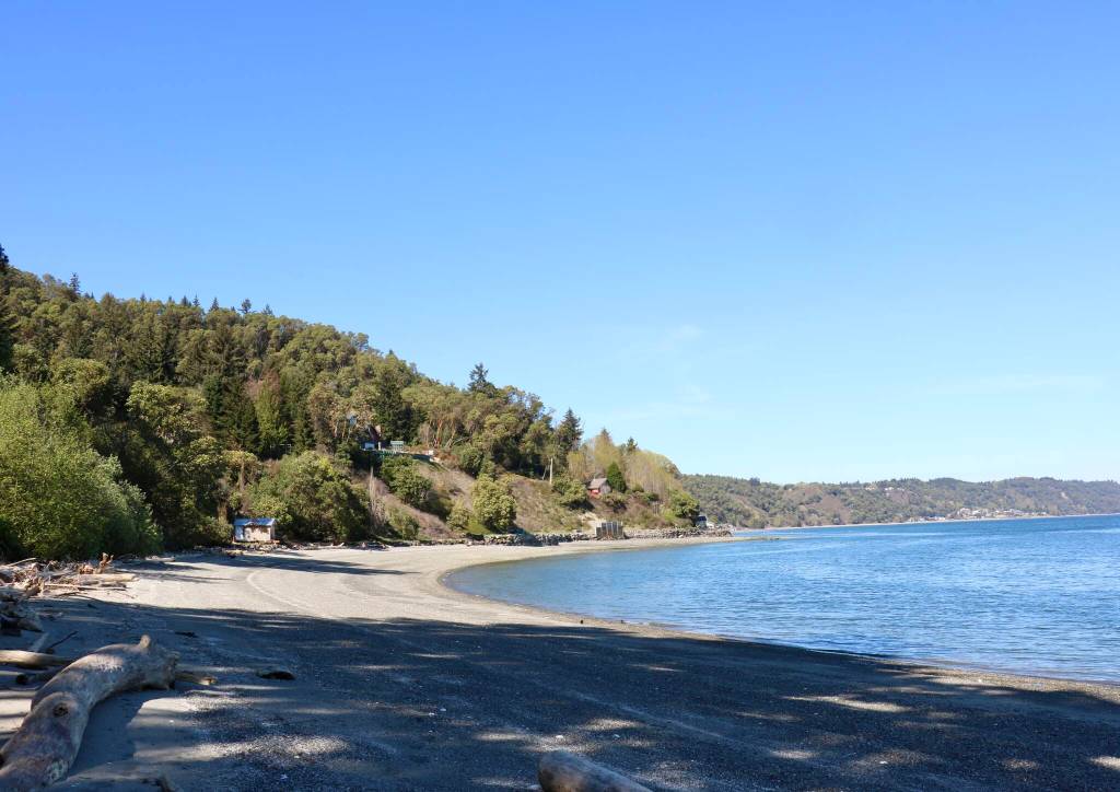 Scarlet Hansen Photo
A shoreline on Maury Island that is undergoing recovery after armoring was removed by the county.