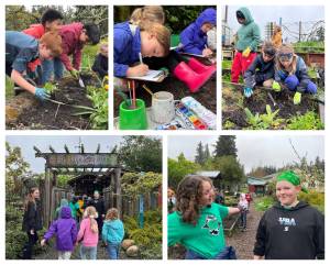 Courtesy Photos
Chautauqua Elementary School students spent Earth Day outdoors, exploring campus trails, garden beds and natural spaces through activities planned by the schools Green Team.