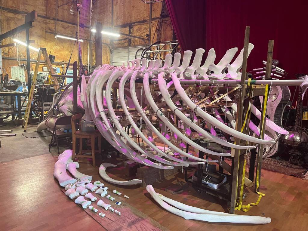 Bianca Perla Photo
Singer the whales sculpture takes shape with the help of local artist Ela Lamblin and volunteers. The sculpture, part of a partnership between Vashon Nature Center and Vashon Center for the Arts, will be suspended in VCAs atrium in mid-June.