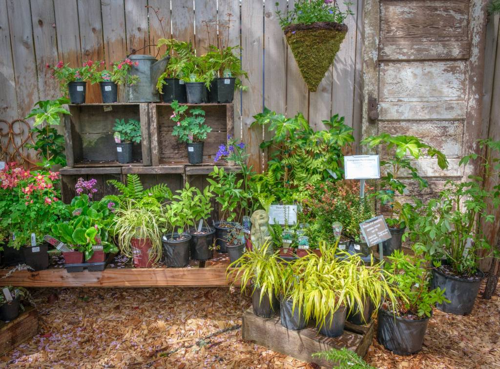 Terry Donnelly Photo
Little Bird Gardens new nursery space includes native plants, flowers, garden tools and outdoor art.