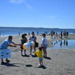Kent Phelan Photo
Beachgoers explore Point Robinson during the 2026 Low Tide Celebration.