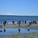 Kent Phelan Photo
The 2026 Low Tide Celebration.
