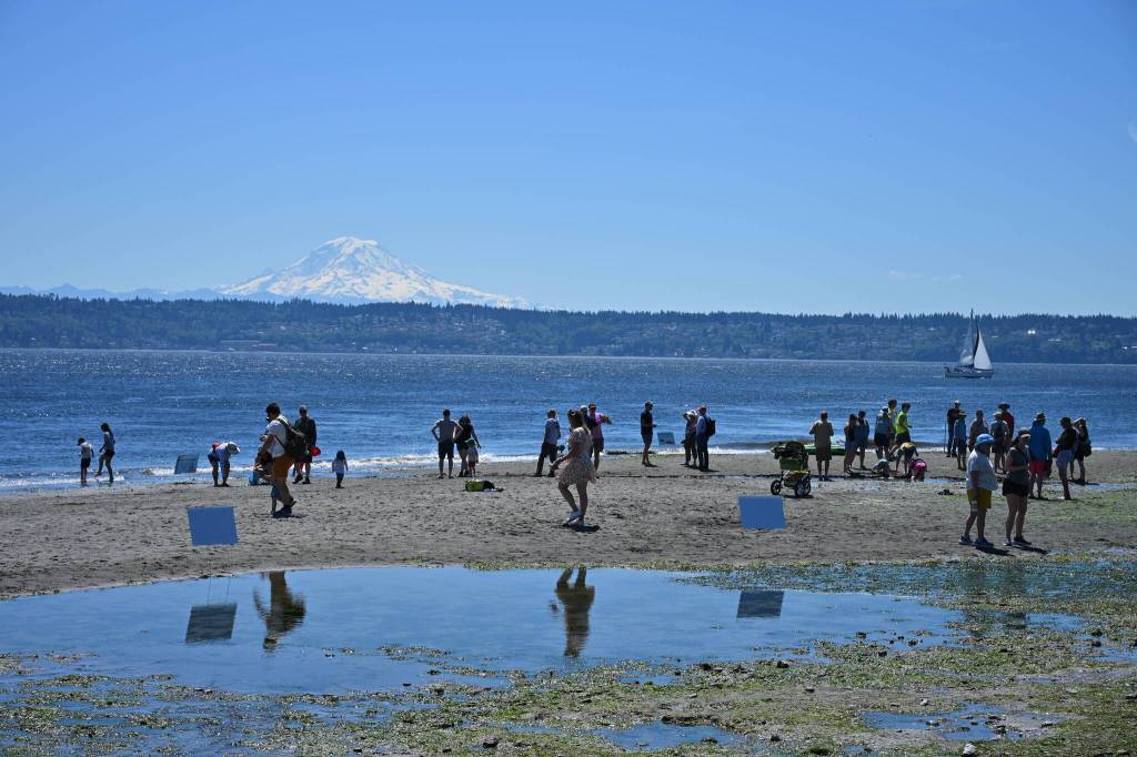 Kent Phelan Photo
The 2026 Low Tide Celebration.