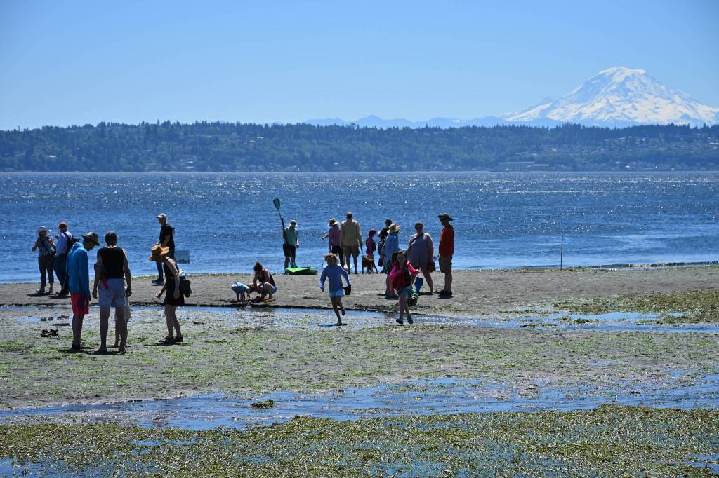 Kent Phelan Photo
The 2026 Low Tide Celebration.