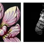 Courtesy of Vashon Center for the Arts
Artwork by artists Denise Dion (left) and Jill Rickabaugh will be on display at Vashon Center for the Arts during First Friday.