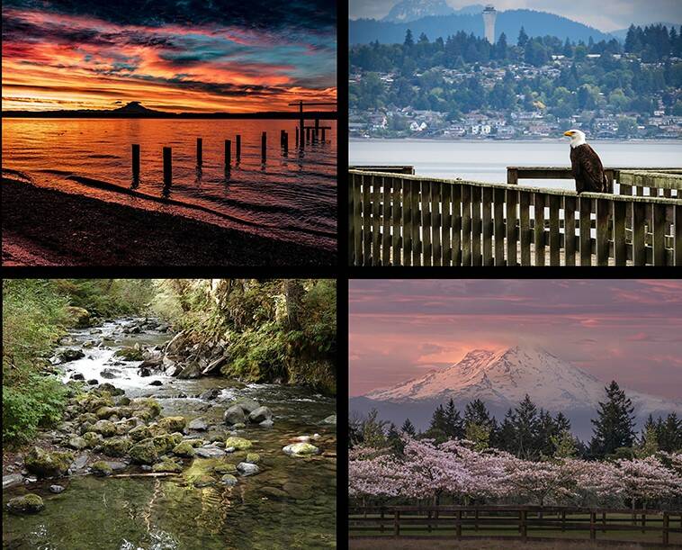 Courtesy Photos
Photos taken by members of Vashon Senior Centers photo club.