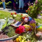 Aspen Anderson Photo
Flowers and notes were left near the site where Maridee Bonadea, a longtime Vashon cyclist, was fatally struck near the Fauntleroy ferry dock.