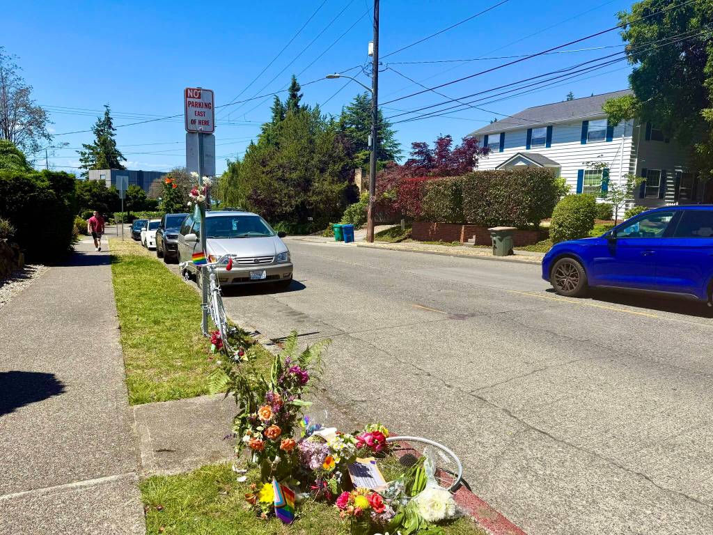 The stretch of Southwest Wildwood Place near the Fauntleroy ferry dock where Maridee Bonadea was fatally struck.