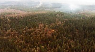 This is the piece of land in Cumberland that Segale Properties has proposed to turn into a 990-acre gravel mine. Photo courtesy Enumclaw Plateau Community Association