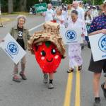 Jonathan Stein Photo
Marshall the Strawberry, Vashons newly elected unofficial mayor, rolls through uptown during the Strawberry Festival Parade on Saturday.