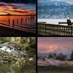 Courtesy Photo
Photos taken by members of the Vashon Senior Centers photo club.
