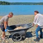 Courtesy Photo
Hercules, a 150-pound Sulcata tortoise missing for 40 days, rides in a garden cart as volunteer Greg Thompson (left) and HAVEN co-founder Amy Carey wheel him off Kingsbury Beach after his remarkable 10-mile journey across Vashon Island.